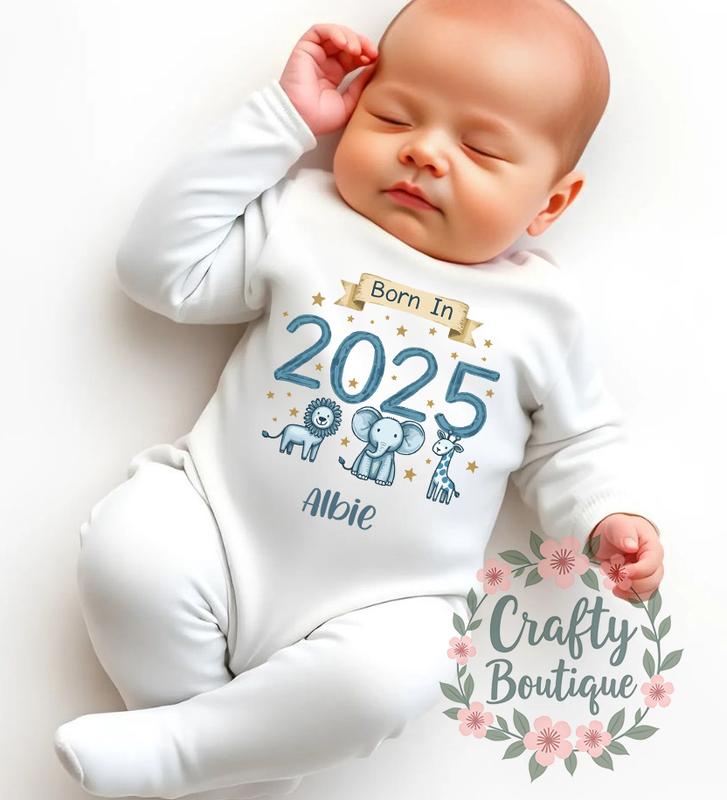 New Baby Outfit, Born in 2025, Newborn Bodysuit, Baby Romper, Personalised Gift - 1077 2