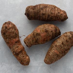 Cocoyam
