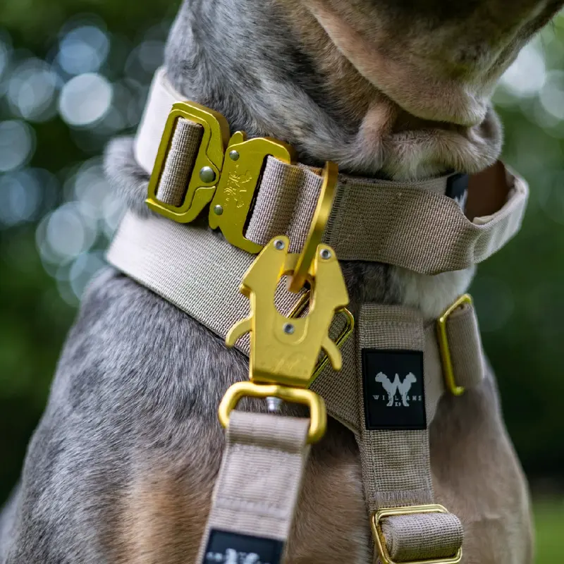 Dog Lead Strong Tactical Frog Clip 6 Colours | Twin Anti-Tangle With Padded Handle And Quad Stitched Nylon 2
