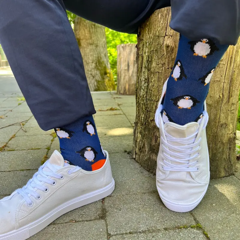 Navy Penguin Bamboo Socks 2