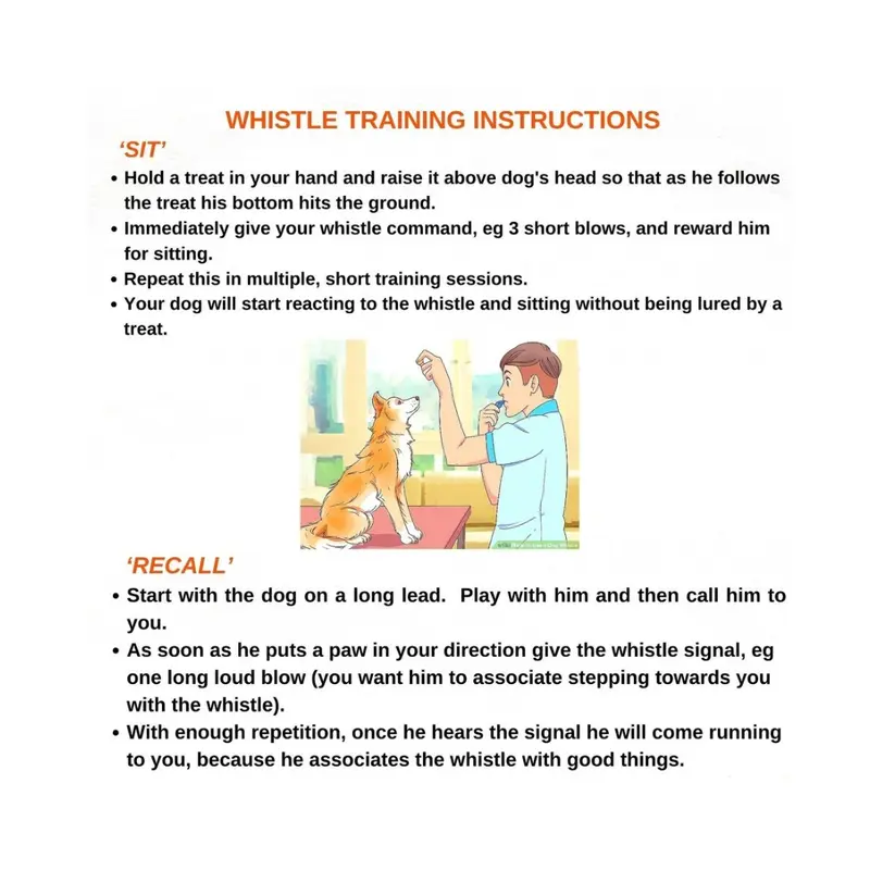 Dog Whistle Trainer, Recall, Stop Barking, Not Silent Pet Puppy Cat Training. 6