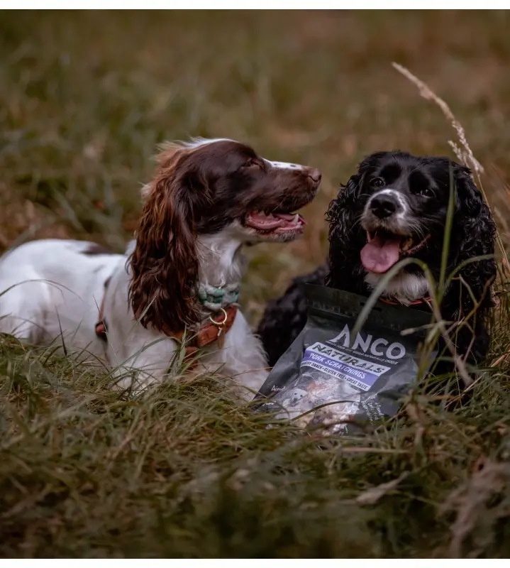 Anco Pork Scratchings 80g - Natural Dog Treat, 100% Pork, High Protein, Suitable for Puppies over 8 weeks old snack 2