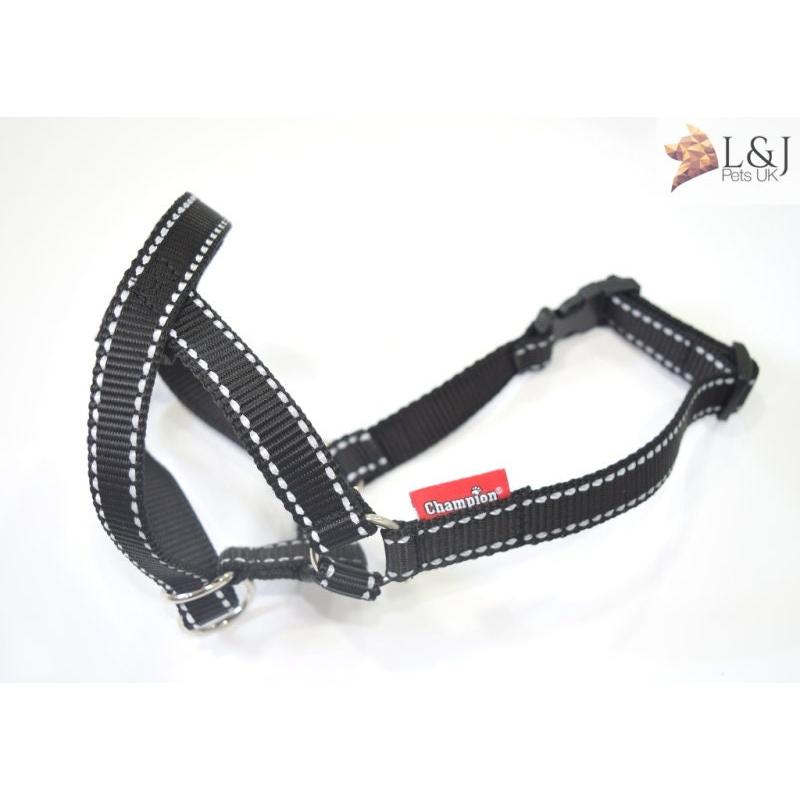 Reflective Padded Head Collar | Dog Training Halter Stops Dog Pulling Behaviour | Outdoor Hi-vis | Large, Small Dogs | Champion 5