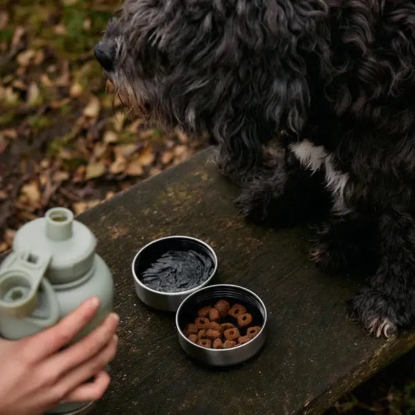 3 in 1 Portable Dog Travel Water Bottle with 2 Detachable Bowls, 32oz Stainless Steel Insulated Dispenser for Dogs with Carrying Sleeve 2