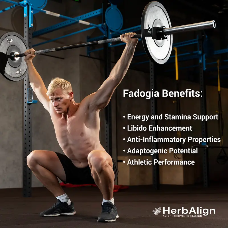 Herbalign Fadogia Agrestis Capsules: Pure 1200mg Serving - 60 Capsules, UK Lab Tested, One Month Supply for Natural Vitality, Muscle Growth, and Testosterone Support 3
