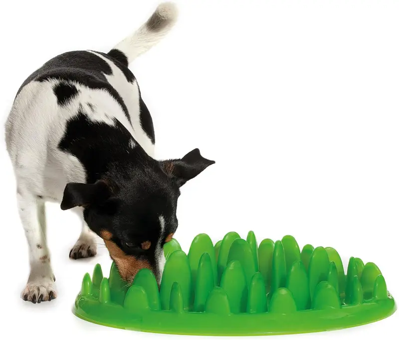 Company of Animals GREEN Mini Slow Interactive Feeder for Dogs, Best Fun Slow Feeder Dog Bowl, Anti-Gulp, Gobble Stopper, Mental Stimulation Dog Puzzle, Suitable for Puppy & Small, Medium & Large Dogs 2