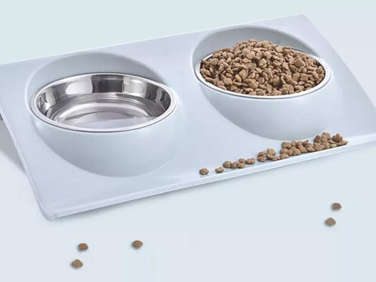 Dog Bowl Cat Bowl Reside Double Pet Feeder Anti Sickness Bowl for Food and Water 2
