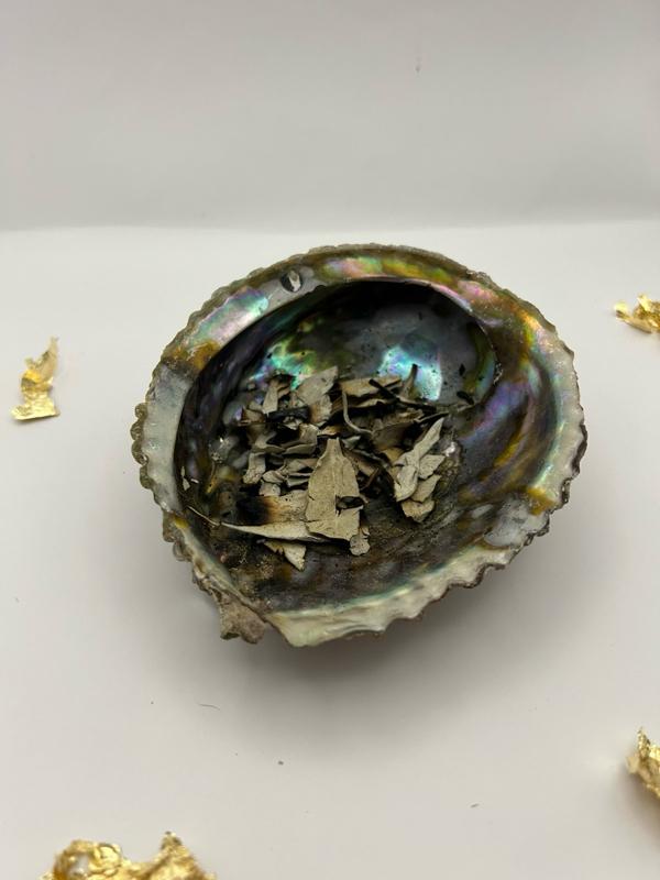 Product Introduction of Abalone shell smudging and cleansing set  White sage Sage Scent Aroma 9