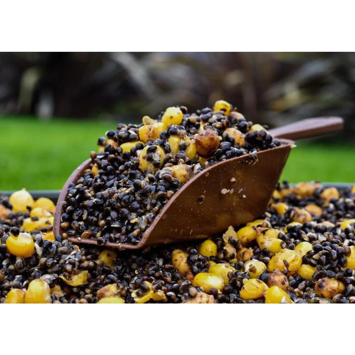 Hemp & Maize & Tigers (H.M.T) fishing bait