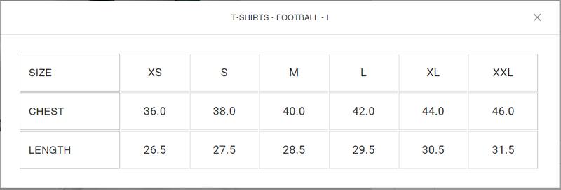 Product Introduction of Pakistan Football T-shirt | PFF Away Kit Tee White 0