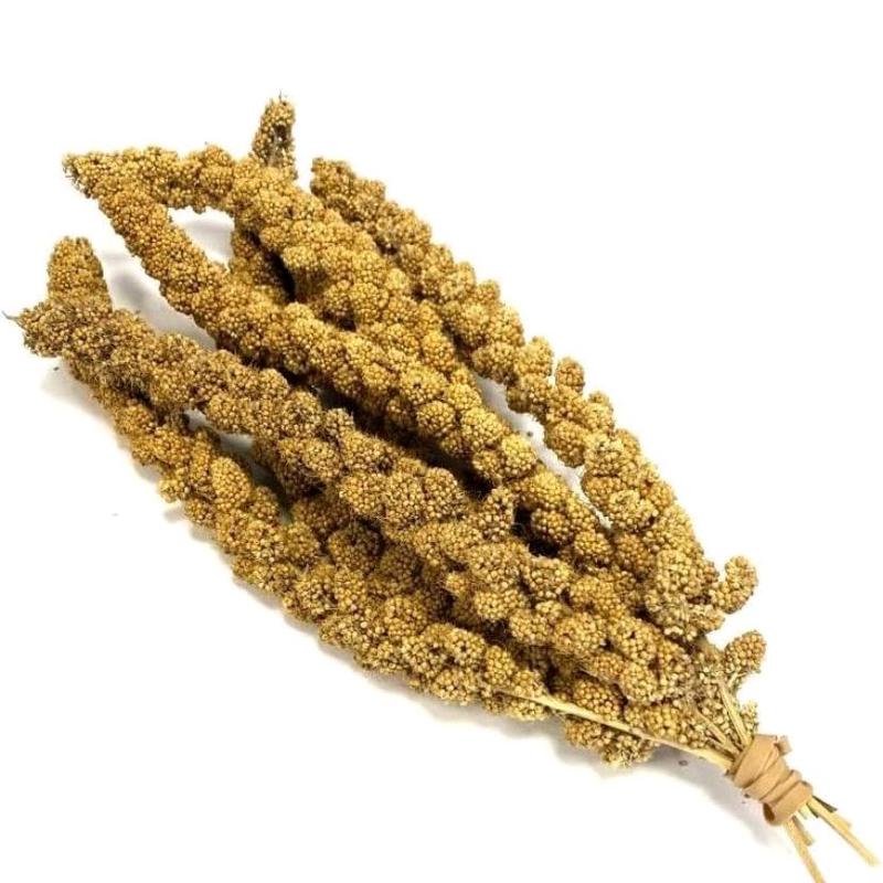 Millet spray 1kg 2