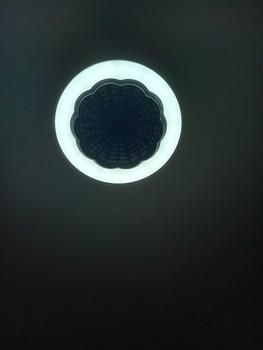 Product Review of Ceiling Fan with LED Lights for Bedroom, 3-speed LED Fan Lamp, Modern Remote Control Fan with LED Light, Indoor Cozy Lighting, Decorative Fan Night Light for Living Room from D**l A**m I**e O**d 2