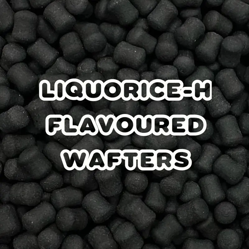 CARP FISHING BARREL WAFTERS 8x11mm LIQUORICE H / ANISEED FLAVOUR BAIT 3