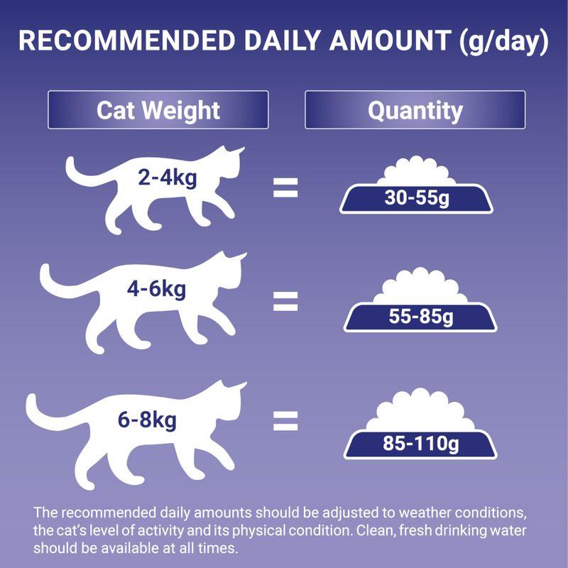 PURINA ONE Sensitive Turkey & Rice Highly Digestible Dry Cat Food 2.8Kg PACK 3