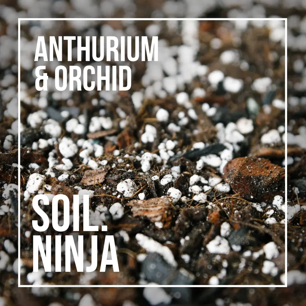 Premium Anthurium and Orchid Blend for Houseplants