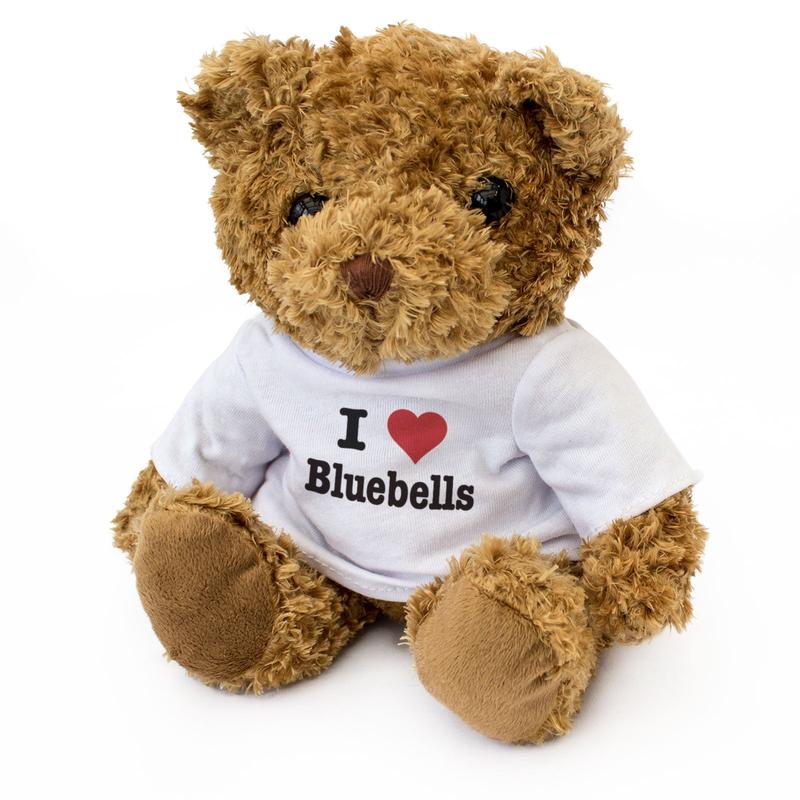 I Love Bluebells - Teddy Bear 1