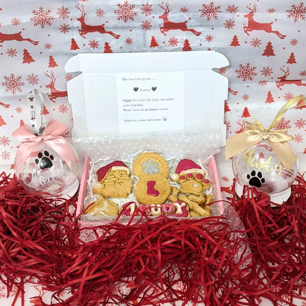 Personalized Christmas Santa Dog Box for Dog Treats and Gifts - Perfect Christmas Present for Your Canine Companion