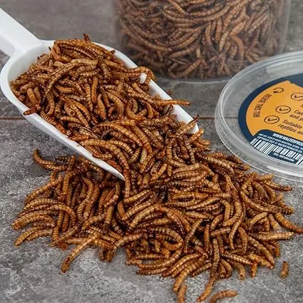 Walter’s Meal Worms (1L Tub) - Dried Mealworms for Birds, Bird Food in Stay Fresh, Easy Tubs 3