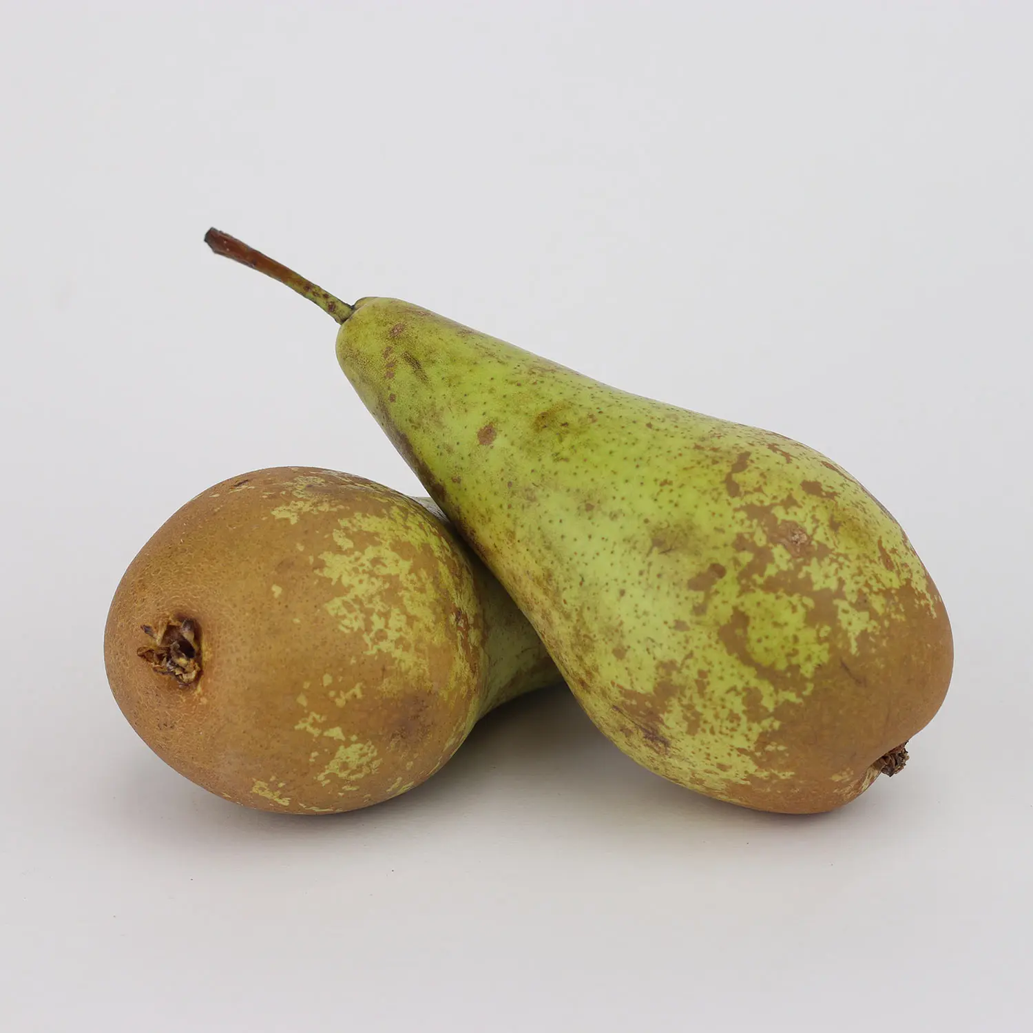 Conference Pears x 2