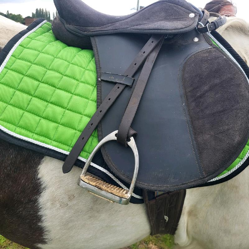 Green saddle pad and fly veil set equestrian 4