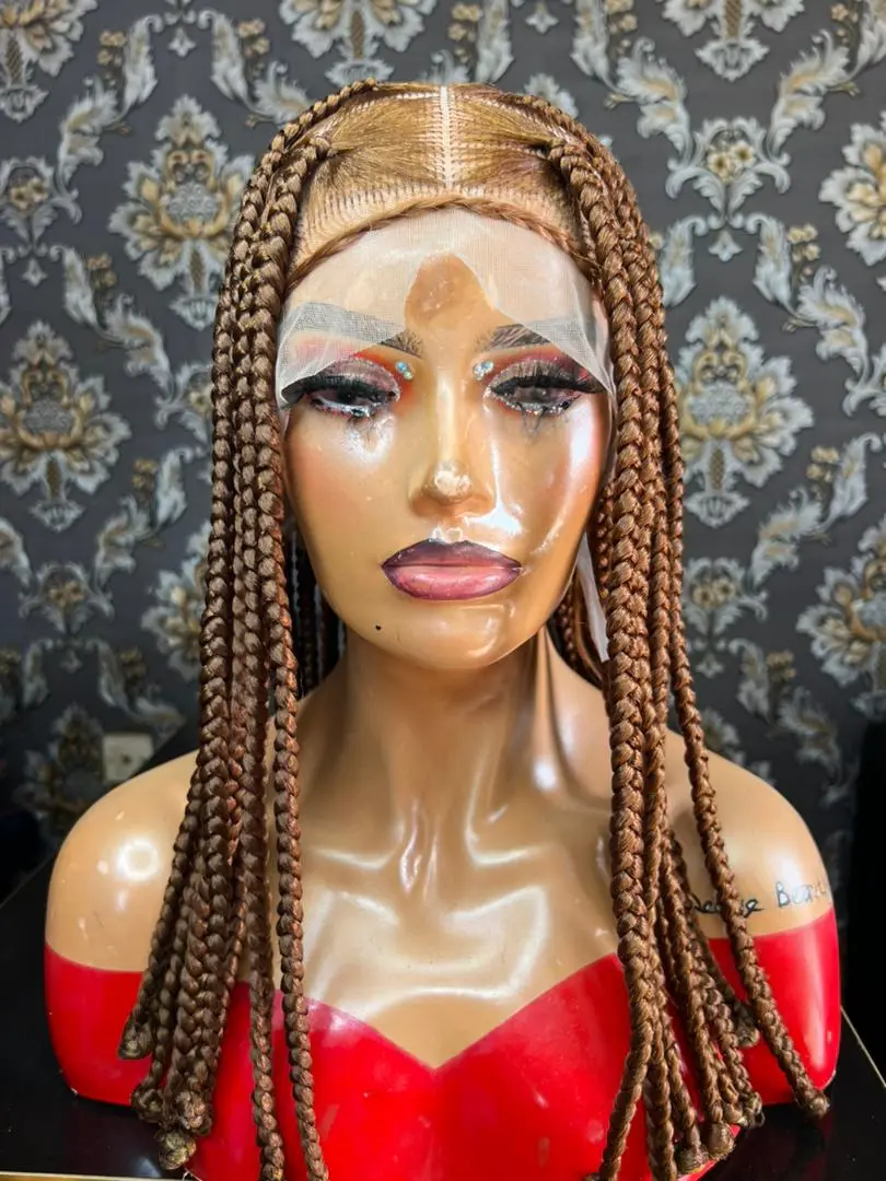 360 Full Lace Braided Wig