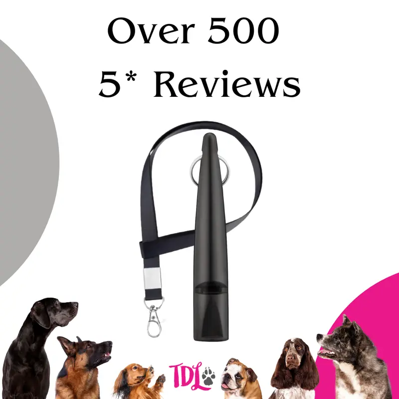 TDL Gun Dog Training Whistle with Lanyard - Dog Whistle with Loud, Solid Tone & Far Reaching Sound - Ideal High-Frequency Long-Distance Dog Recall Whistle for Most Breeds - TDL is the only Genuine supplier of the TDL Gundog Whistle 3