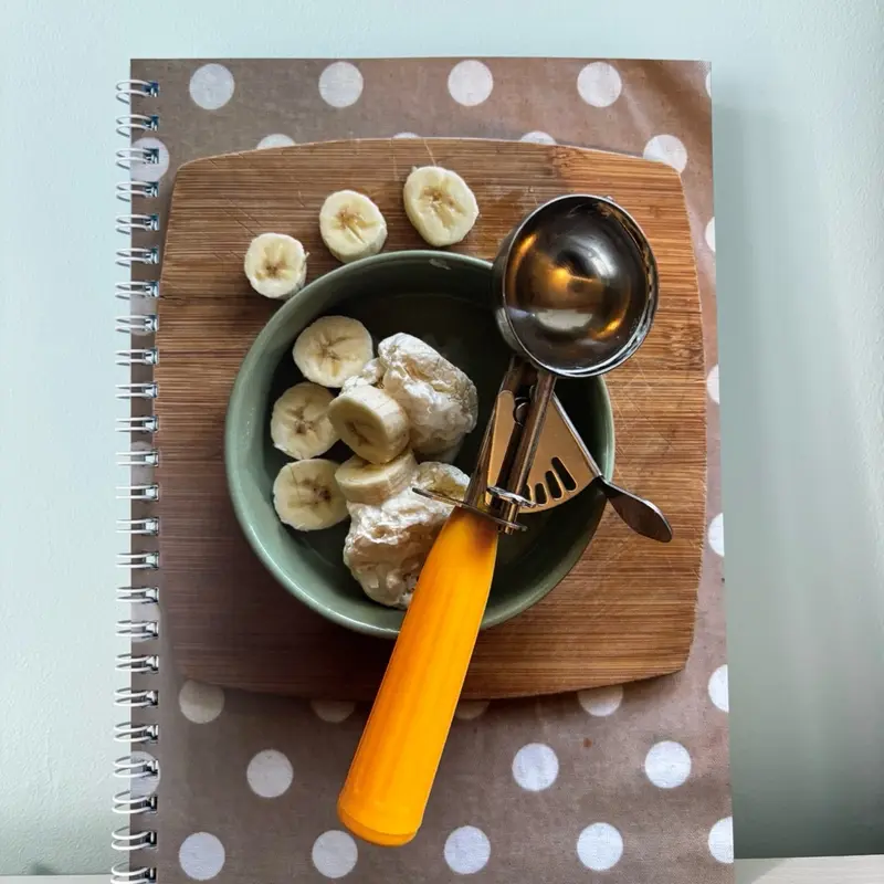 Dog Recipe Book: Surviving a Liver Shunt - low protein dog recipe book - digestive care for dogs 8