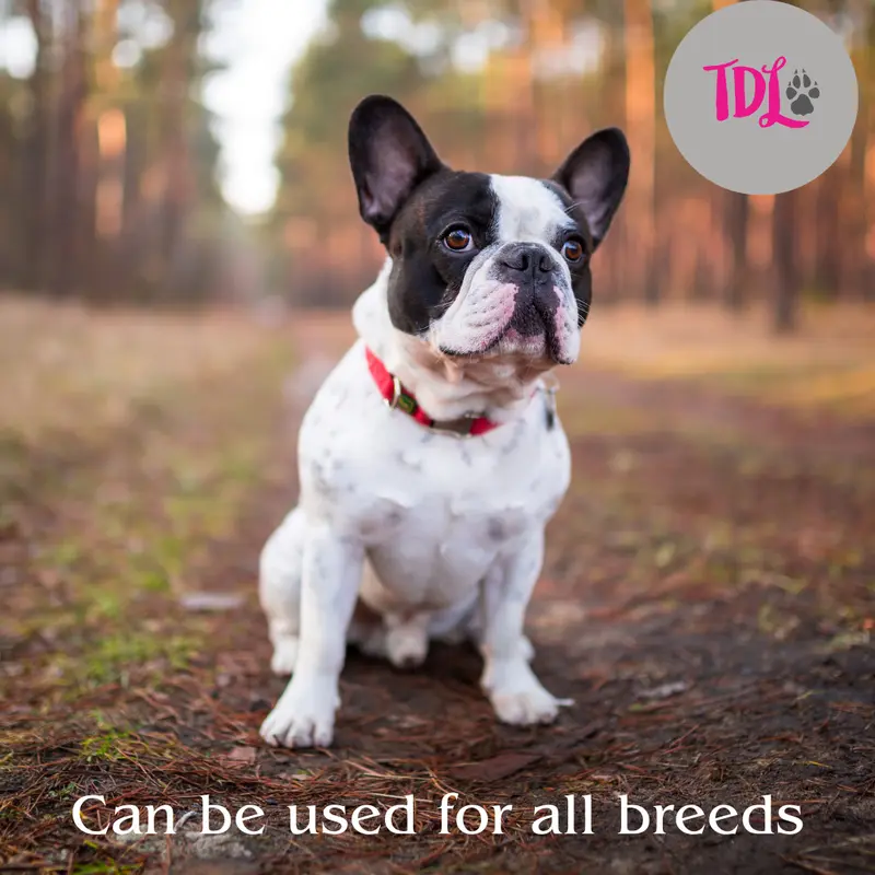 TDL Gun Dog Training Whistle with Lanyard - Dog Whistle with Loud, Solid Tone & Far Reaching Sound - Ideal High-Frequency Long-Distance Dog Recall Whistle for Most Breeds - TDL is the only Genuine supplier of the TDL Gundog Whistle 6