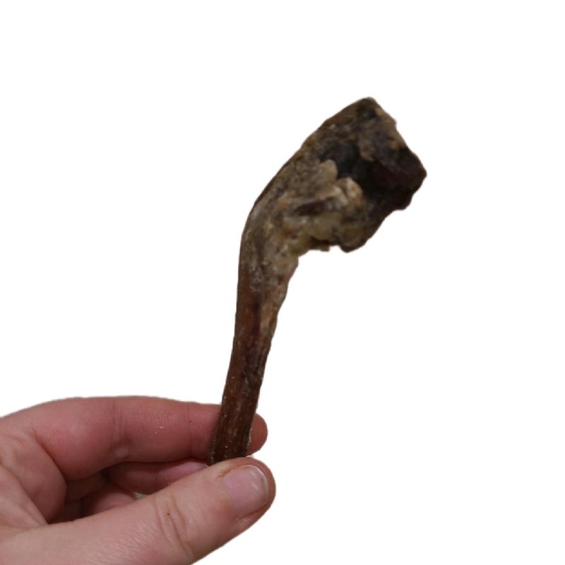 Pizzle Stick Misfits (grade B) Natural Dog Treat Chew 3