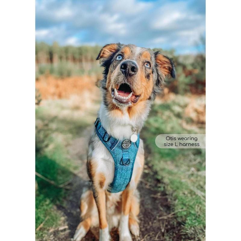 Tough Trails™ Harness - Country Teal 6