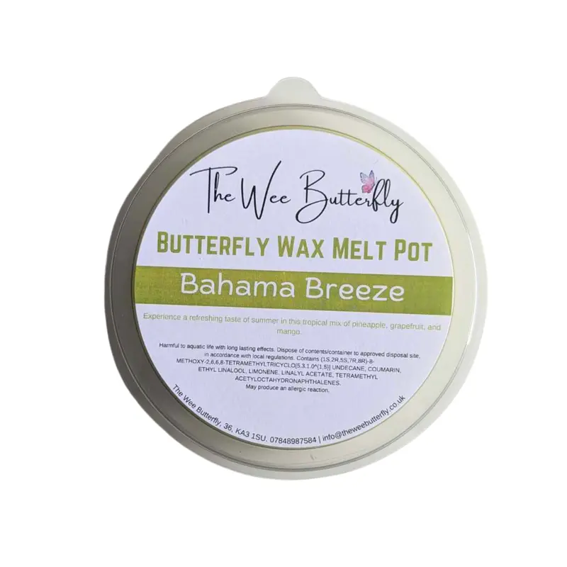 The Wee Butterfly - Butterfly Wax Melt Pot - Highly Scented 1