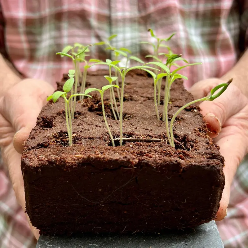 The Confetti Growbar - Grow your own Cornflower, Clary and Larkspur flowers from seed to dry and turn into your very own confett. All you need to do is just add water! 1