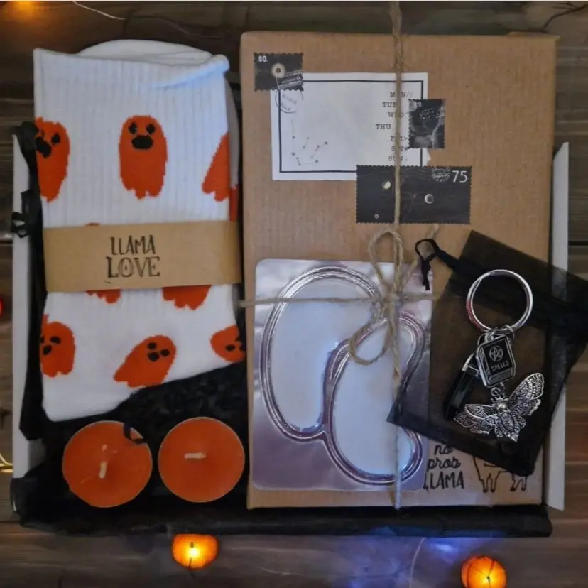 Smelly Llamas Co - Spooky Vibes Blind Date with a Book - Various Genres Available