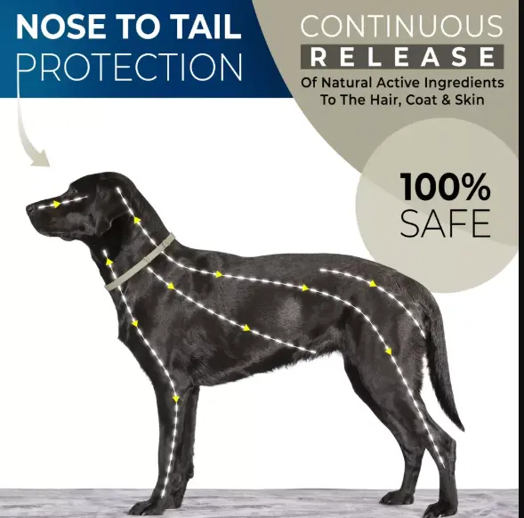 Flea & Tick Collar | Adjustable Protection for Small & Large Dogs | 12-Month Treatment 1