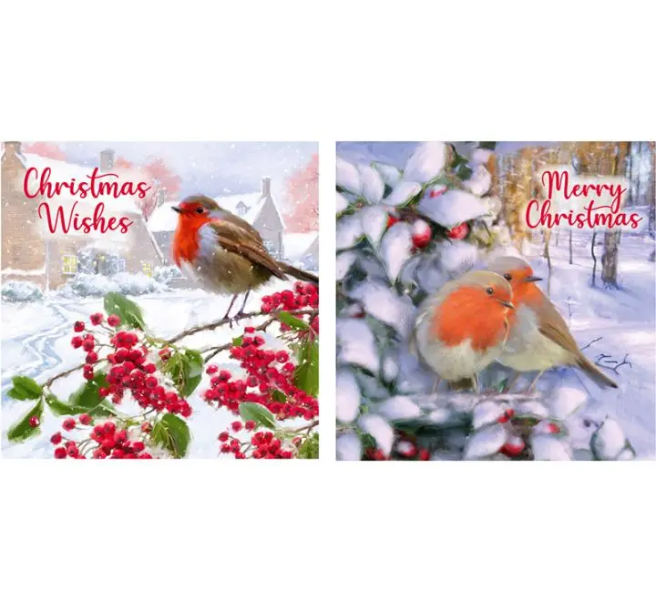 Christmas Cards 12 Pack Santa Cards Snow Scene Luxury Traditional Christmas cards 2 Design 2