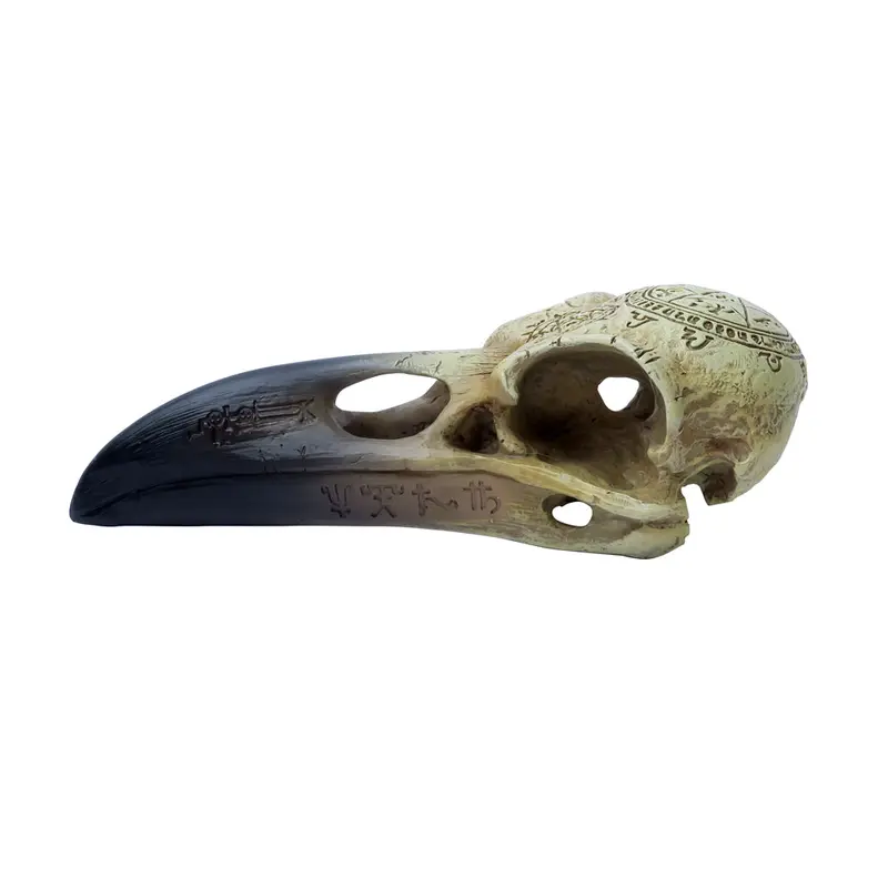 Alchemy - The Vault Omega Raven Skull 2