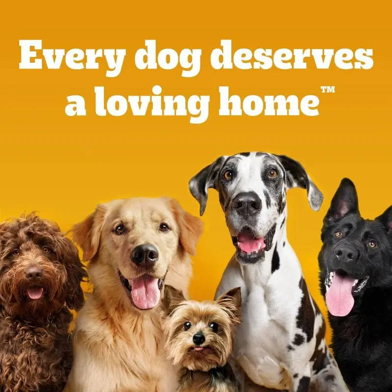 Pedigree Dentastix - Fresh Daily Dental Chews Medium Dog, 112 Sticks - 2.88 kg MegaPack (4 x 28 Sticks) 4