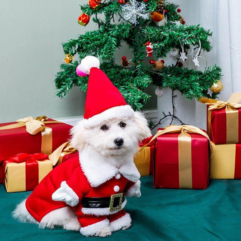 New Christmas Santa Pet Costume 0