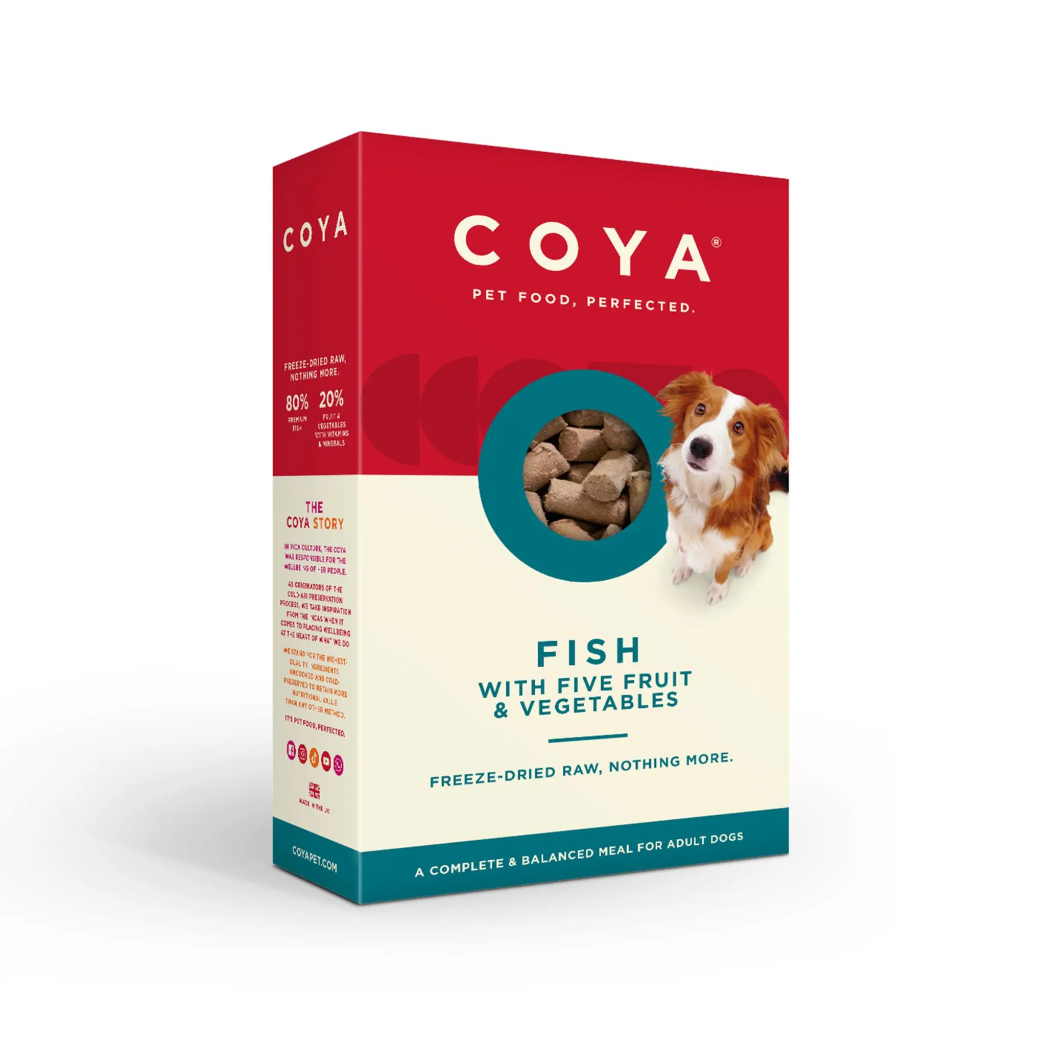 COYA Fish Freeze-Dried Raw Main Meal (150g)