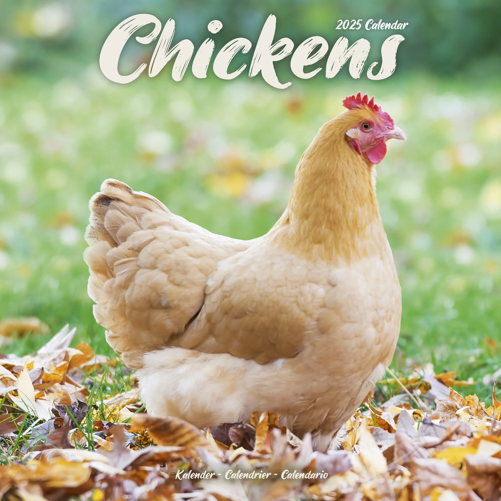 Chickens Calendar 2025 | 16 Month Calendar | Sept 24 to Dec 25