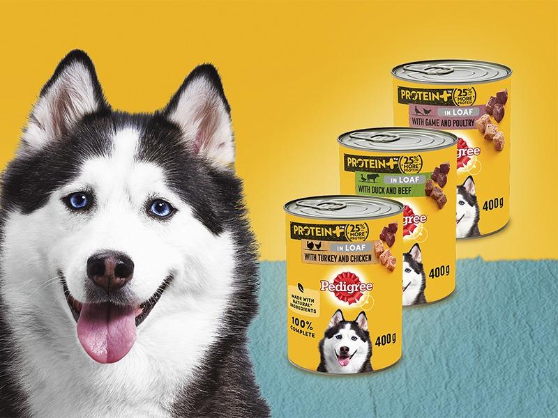 Pedigree Dog Food Tins | Protein + Plus (25% Extra Protein) | Complete Wet Food for Adult Dogs | High Quality, Natural Ingredients | Bulk Buy Deals Available | Turkey, Chicken, Duck, Beef, Game & Poultry Flavours in Pate Style Loaf 2