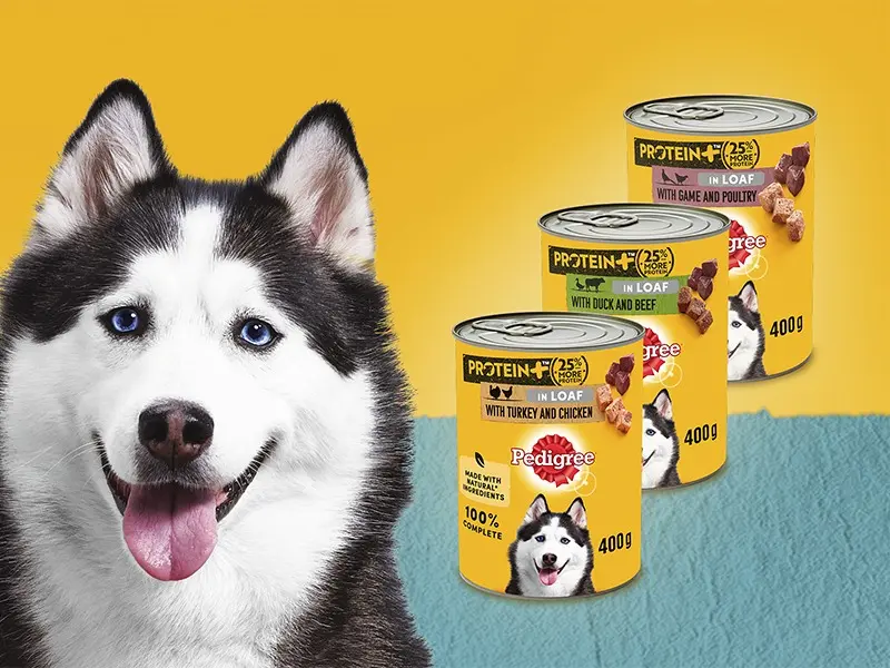 Pedigree Dog Food Tins | Protein + Plus (25% Extra Protein) | Complete Wet Food for Adult Dogs | High Quality, Natural Ingredients | Bulk Buy Deals Available | Turkey, Chicken, Duck, Beef, Game & Poultry Flavours in Pate Style Loaf 2