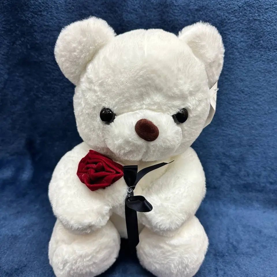 Teddy Bear Gift Collection - Perfect for Any Occasion