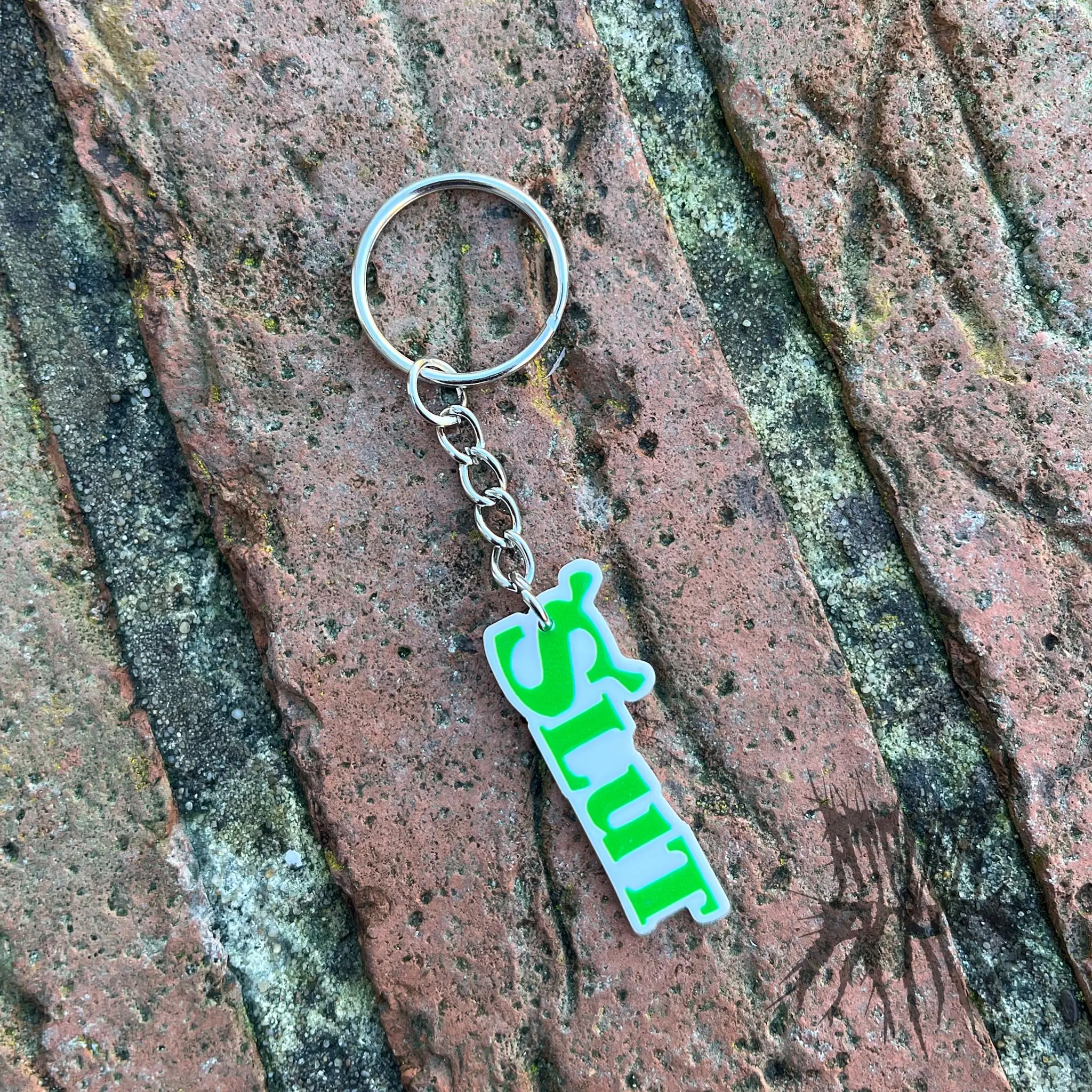 The Shrek Keyring