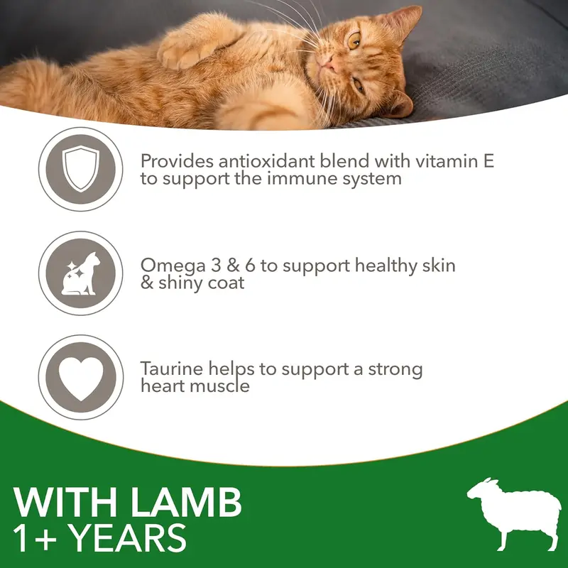 IAMS Complete Dry Cat Food for Adult 1+ Cats with Lamb 3 kg - High Protein and Low Fat 5