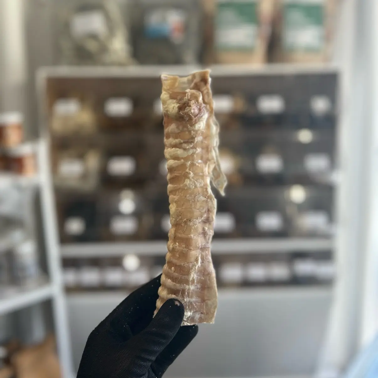 Beef Trachea - 24CM & 12CM - natural treat