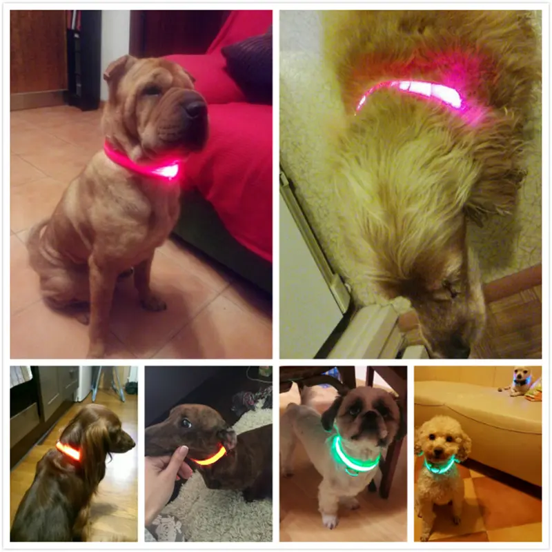Rechargeable Dog Light up Collar for Pet Safety and night walks.