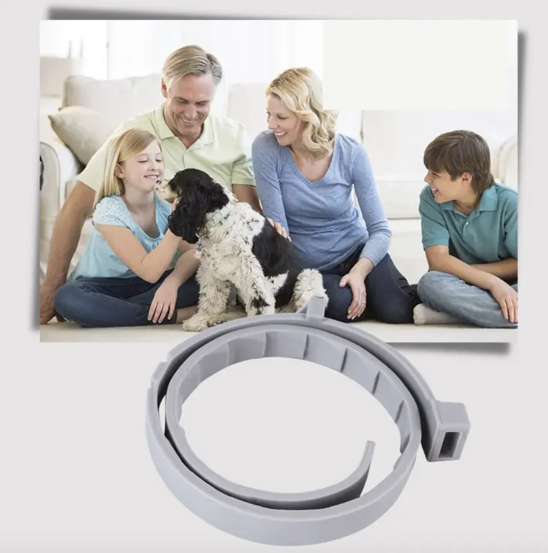 Anti-Flea Collar for Pets，Effective and Convenient for Puppy Love, Portal and Cost-effective 5