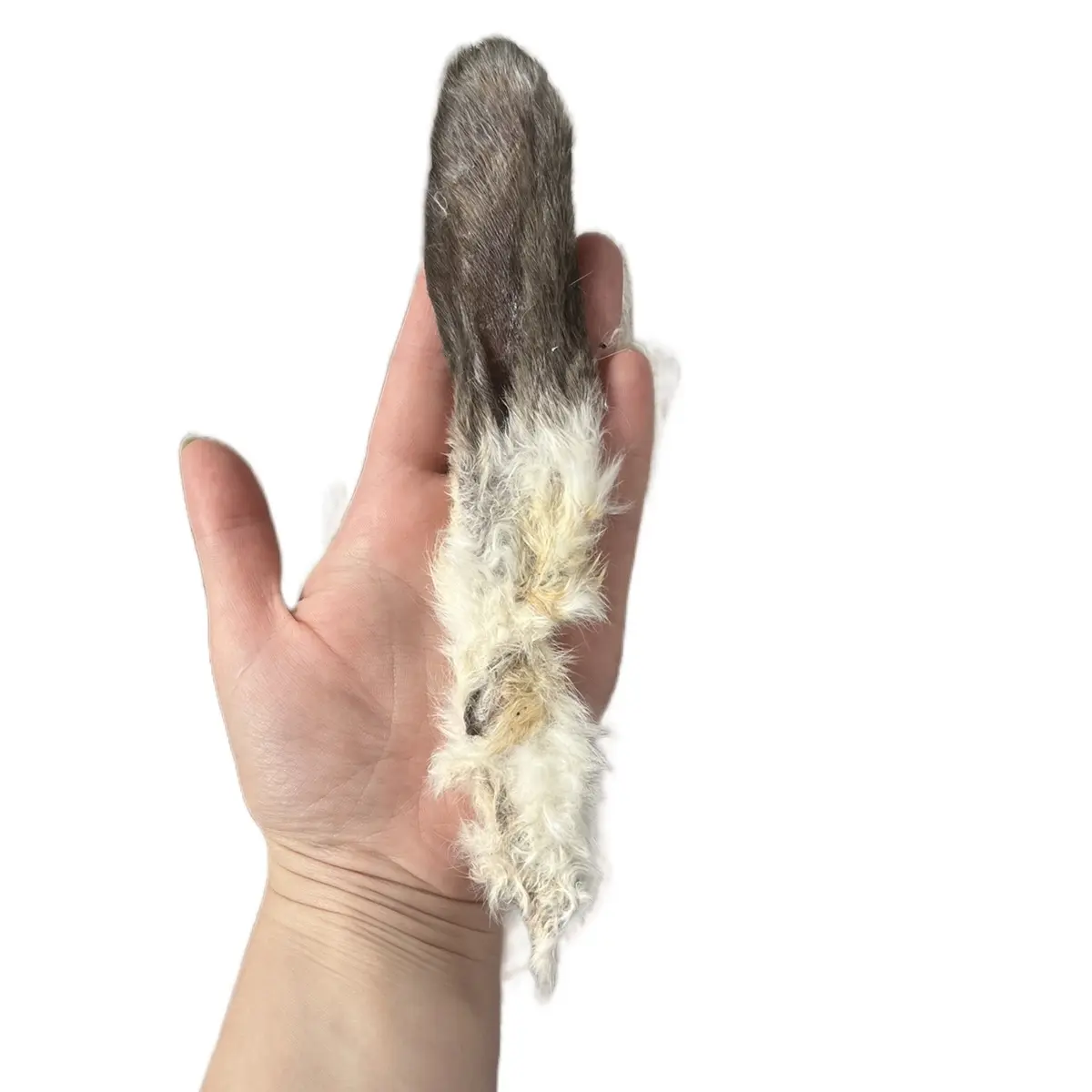 Furry rabbit ears