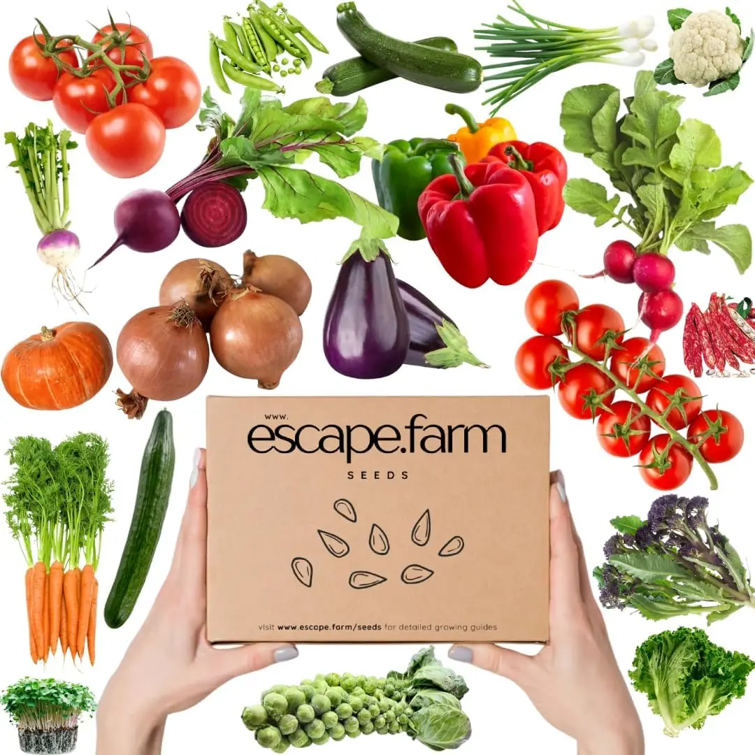 Vegetable Seeds Bumper Pack, Grow Your Own Vegetable Garden, Seed Starter Kit, Contains 22 Varieties and 2,000+ Seeds, Reputable UK Growers, from Tomatoes to Pumpkins, Aubergines to Peas